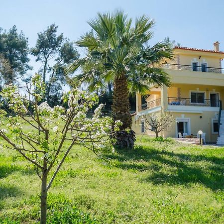 פאליאורי Kyrana Apartments מראה חיצוני תמונה
